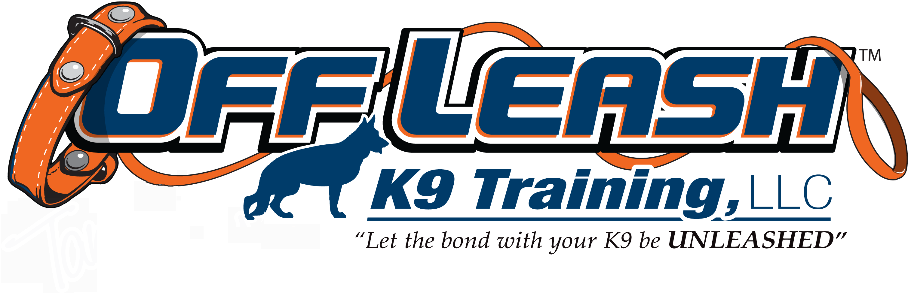 Long Island Offleash K9 Dog Training