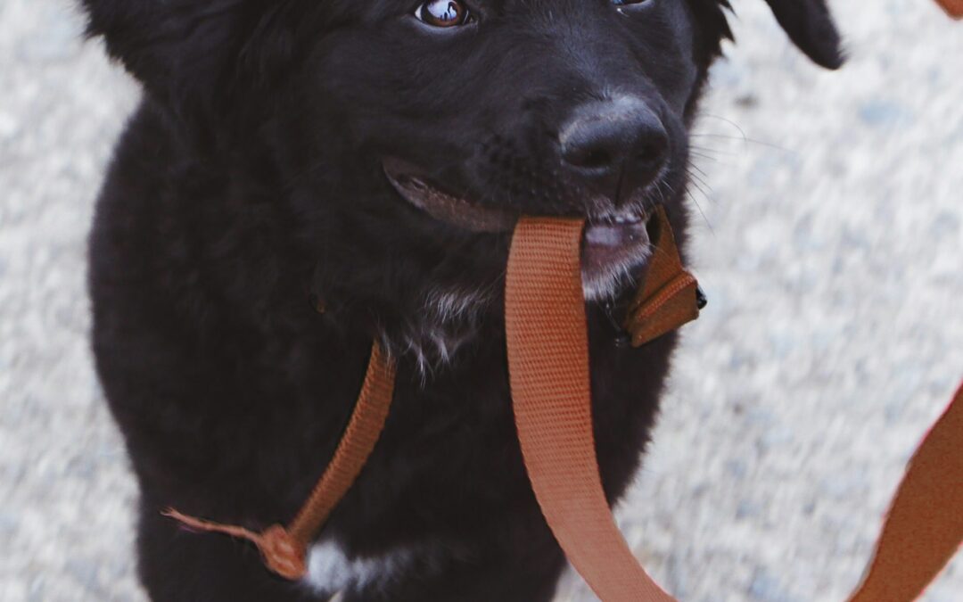 Why Walking Together Matters More Than Distance