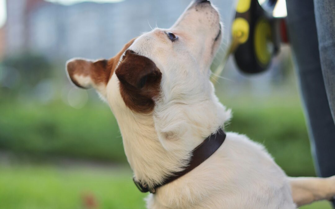 Advanced Marking — Shaping & Capturing